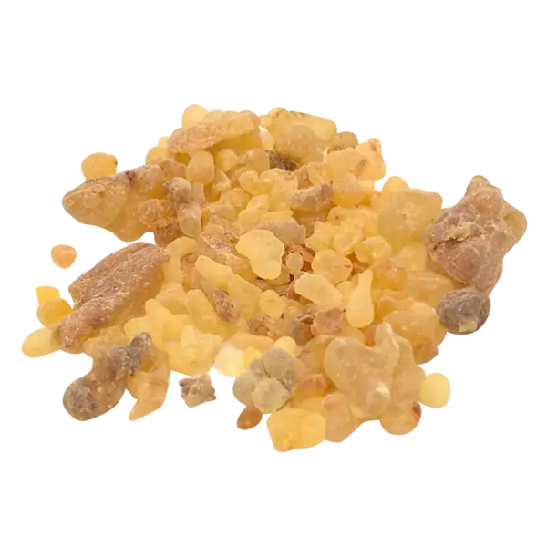 صَمغ کُندُر | Frankincense